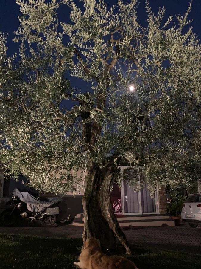 Locazione Turistica Casa Olivo Apartman Fucecchio Kültér fotó