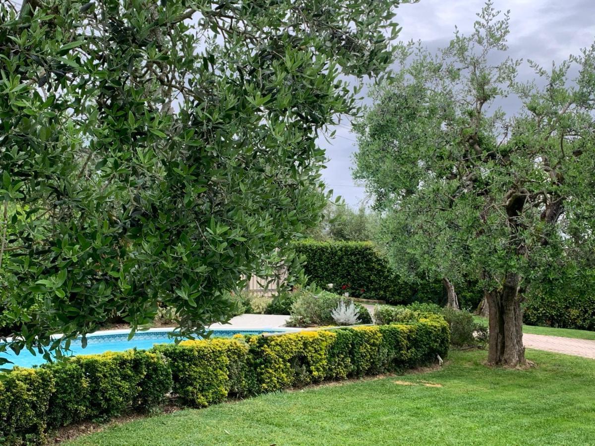 Locazione Turistica Casa Olivo Apartman Fucecchio Kültér fotó