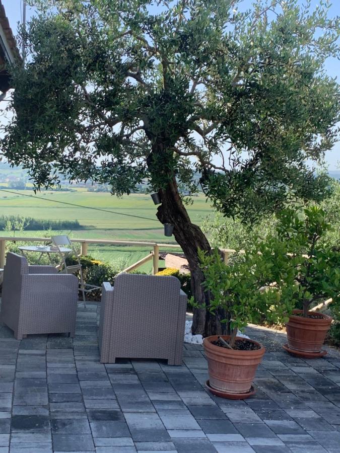 Locazione Turistica Casa Olivo Apartman Fucecchio Kültér fotó
